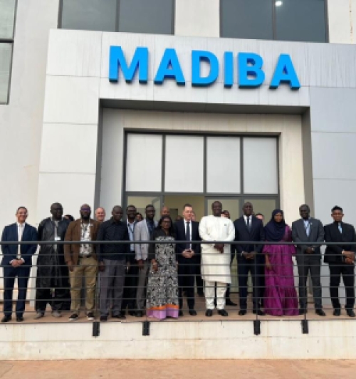 Madiba : Institut Pasteur de Dakar