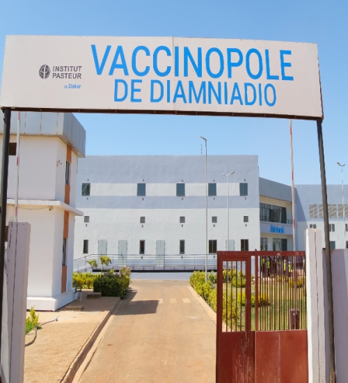 AFRICAMARIL : Institut Pasteur de Dakar